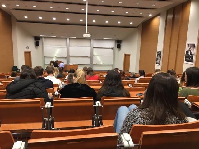 Украинцы в Польше: как обстоят дела с обучением - «ПОЛЬША»