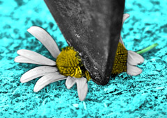 Стоит ли вводить туристический сбор по всей стране? - «Новости Туризма»