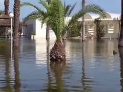 Туроператоры: лесные пожары в Португалии российских туристов не испугали, отказов нет - «Новости»