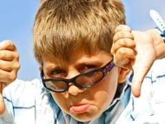 В Калининграде птицы скинули туристам капсулу адресованную потомкам - «Новости»