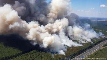 В Германии возникли лесные пожары - «Новости туризма»