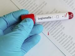 Ростуризм приступил к разбору «полётов» РоссТура - «Новости»