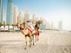 «Отдых дома с котом» проиграл путешествиям: лучшая осень для туристов - «Новости»