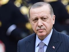 Закон о самозанятых: даст ли он развитие туристическому фрилансу? - «Новости»