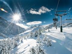 Опрос: более трети россиян вынужденно остались без летнего отпуска, 18% - по финансовой причине - «Новости»