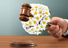 Некогда объяснять, все на Бали! - «Новости Туризма»