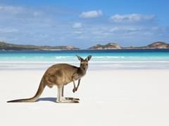 В Абхазии отчитались о миллионном туристе, туроператоры отнеслись к такой статистике с большим скепсисом - «Новости»