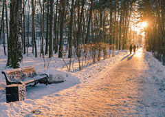 Украинские туроператоры наращивают перевозку в Тунис - «Новости Туризма»