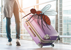 Российские туристы застряли на Хайнане - «Новости Туризма»