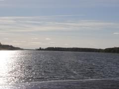 Туроператоры: раннее бронирование речных круизов на «Лето-2019» показывает рост на 10-20% - «Новости»