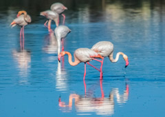 Стало известно, чем Крым привлекает туристов на Новый год - «Новости Туризма»