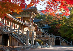 Женский день – на бразильском карнавале - «Новости Туризма»