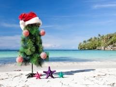 Майя Ломидзе: Египет для туристов откроют весной, но не весь - «Новости»