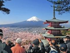 Туры в Египет стали лидерами продаж у российской турфирмы - «Новости»