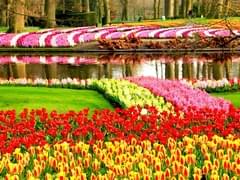 Самые дешёвые и быстрые способы попасть на курорты Египта: эксперты оценили перспективы «перекладных рейсов» - «Новости»