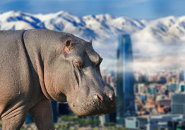 Туры в Римини раскупают, как горячие пирожки - «Новости Туризма»