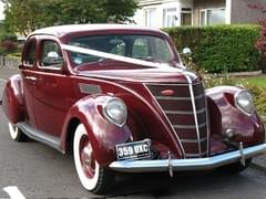 Сельский туризм: корова затоптала туриста и получила штраф в €500'000 - «Новости»