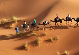 Авиабилеты в Прагу и Париж распродаются дешевле 5 тысяч рублей - «Новости Туризма»