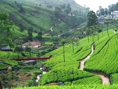 Перекладные рейсы в Хургаду и Шарм-эль-Шейх стартовали из Воронежа - «Новости»