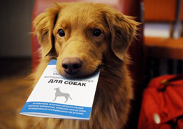 Более 40 рейсов задерживается в московских аэропортах - «Новости Туризма»