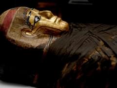 Белоруссия запустила туристические маршруты в Чернобыль - «Новости»