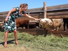 Российский турпоток в Оман увеличился на 150% - «Новости»