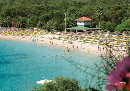 Минсельхоз все-таки возьмется за санкционные продукты в ручной клади - «Новости Туризма»