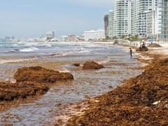 Смерть в Египте: кто ответит за гибель российского ребенка от отравления в отеле Хургады? - «Новости»