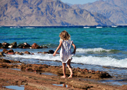 Эксперты назвали причину нежелания туристов ехать в Мексику - «Новости Туризма»