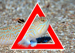 Израиль договаривается с авиакомпаниями о субсидировании рейсов из регионов - «Новости Туризма»