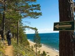 Правительство компенсирует российским авиакомпаниям потери от закрытия Грузии. А туроператорам? - «Новости»