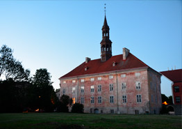 Туристам из Петербурга оставили меньше рейсов на греческий Родос - «Новости Туризма»