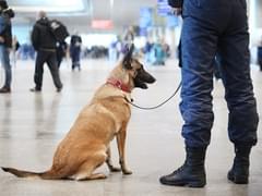 Россия и Чехия договорились о сохранении полетов в интересах туристов до осени - «Новости»