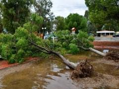 Туроператоры рассказали, как в Греции справляются с последствиями урагана - «Новости»