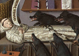 Туроператоры увеличат количество чартерных рейсов на Шри-Ланку - «Новости Туризма»