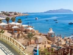 Медведев уволил замруководителя Ростуризма Н.Королева: эксперты подсчитали заработок семьи экс-чиновника на китайских туристах - «Новости»