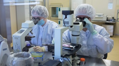 «На взаимной основе»: Россия возобновила авиасообщение с Египтом, ОАЭ и Мальдивами - «Туризм»