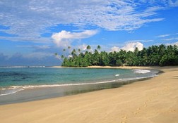 Туроператоры: «В Дубае сократили сроки действия ПЦР-тестов до 48 часов» - «Новости Туризма»