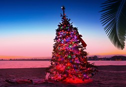 Всех военнообязанных в России оцифруют к весеннему призыву 2024 года - «Новости Туризма»