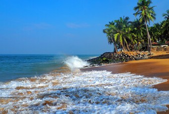На Шри-Ланке могут продлить выдачу бесплатных виз для россиян - «Новости туризма»